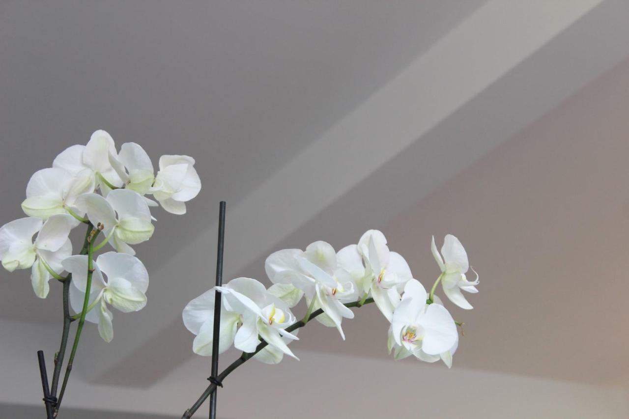 Apartments Vmadeira Funchal  Ngoại thất bức ảnh